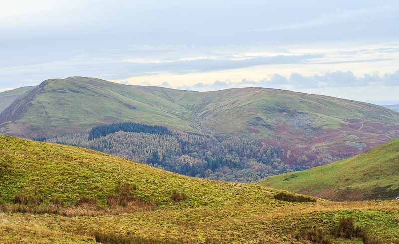 Carling Knott Carling Knott